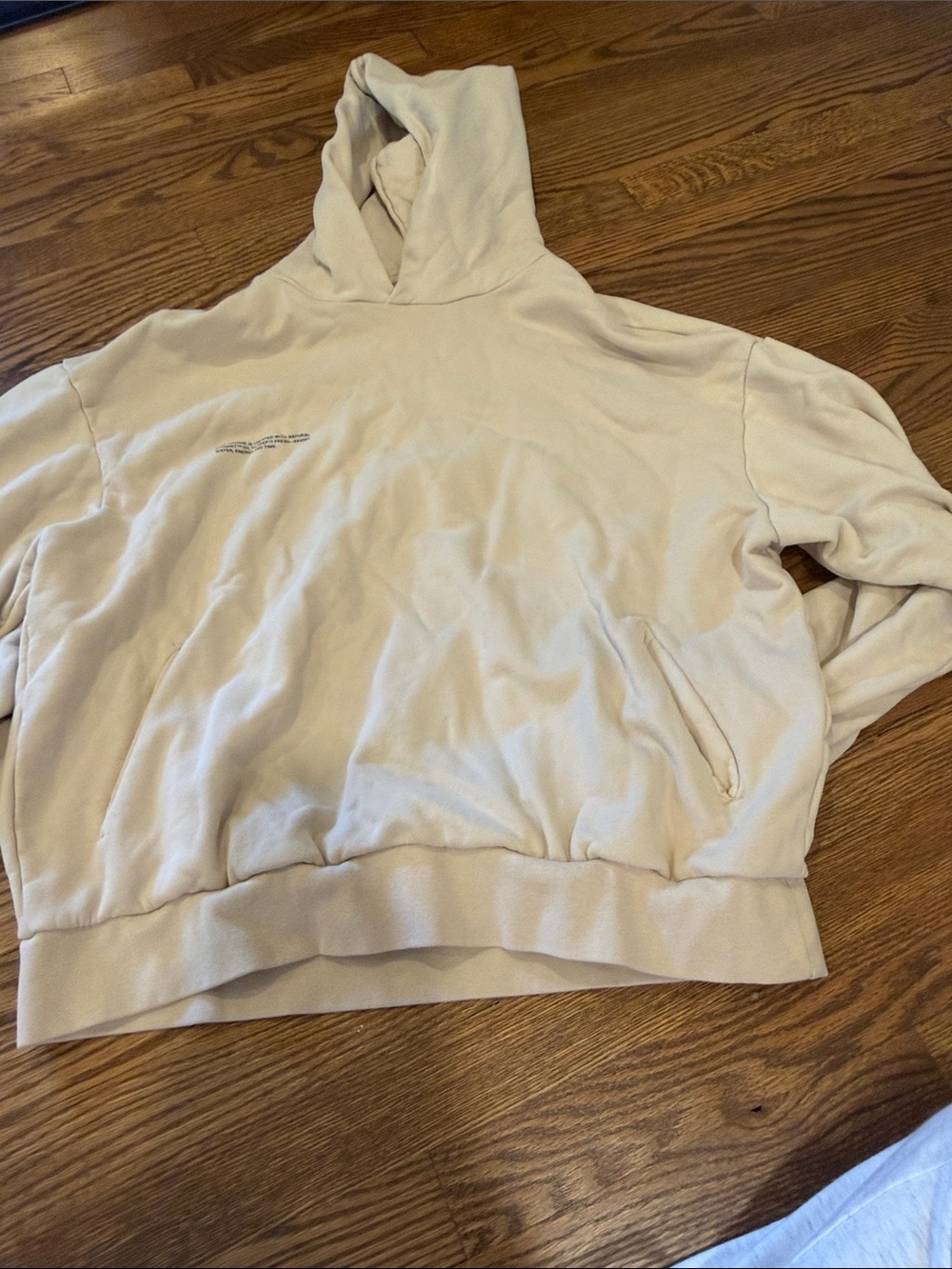 Pangaia Cream Cozy Pullover Hoodie Size Small